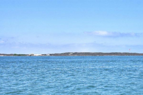 Channelview 206